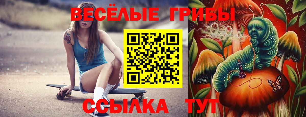 Галлюциногенные грибы прущие грибы  Псилоцибиновые грибы мицелий  Ливны  Вход с VPN 